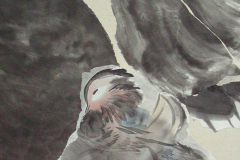 image17